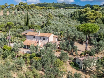 Gepflegter Rustico mit Blick aufs Meer