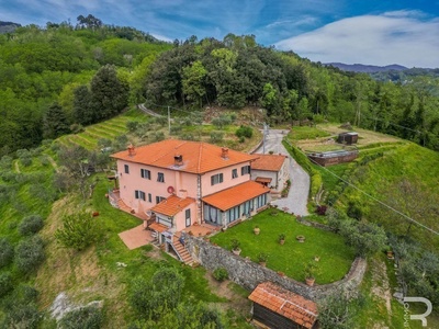 Well-kept rustico in a unique hilltop location