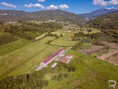Fotos