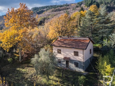 Alleinstehender Rustico in absolut ruhiger Lage