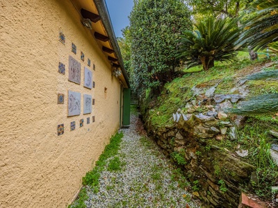 Fotos