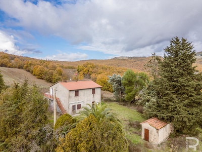 Sanierungsbedürftiger Rustico mit großem Grundstück