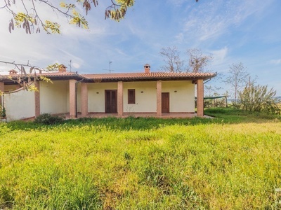Beautiful four-room apartment in an excellent location