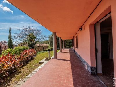 Fotos