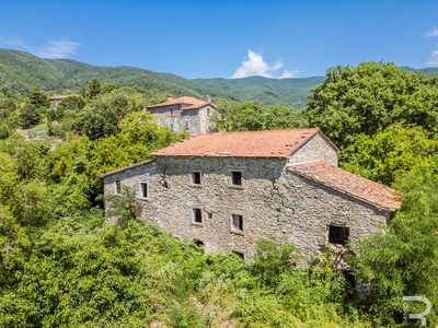 Property in need of renovation with large plot of land