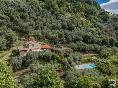 Renovated rustico with swimming pool