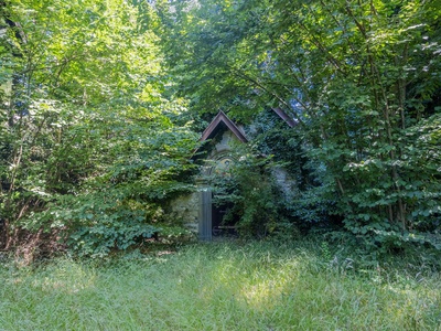 Pictures