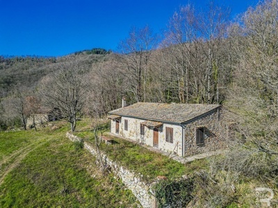 Rustico in a secluded location with lots of potential