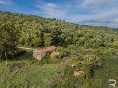 Grande proprietà con splendida vista sulla campagna