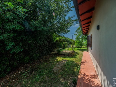 Fotos