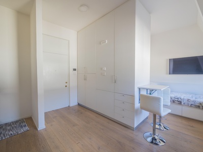 Renovated 1-room apartment near the center