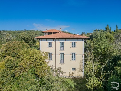 Historic villa with lots of potential