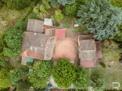 Fotos